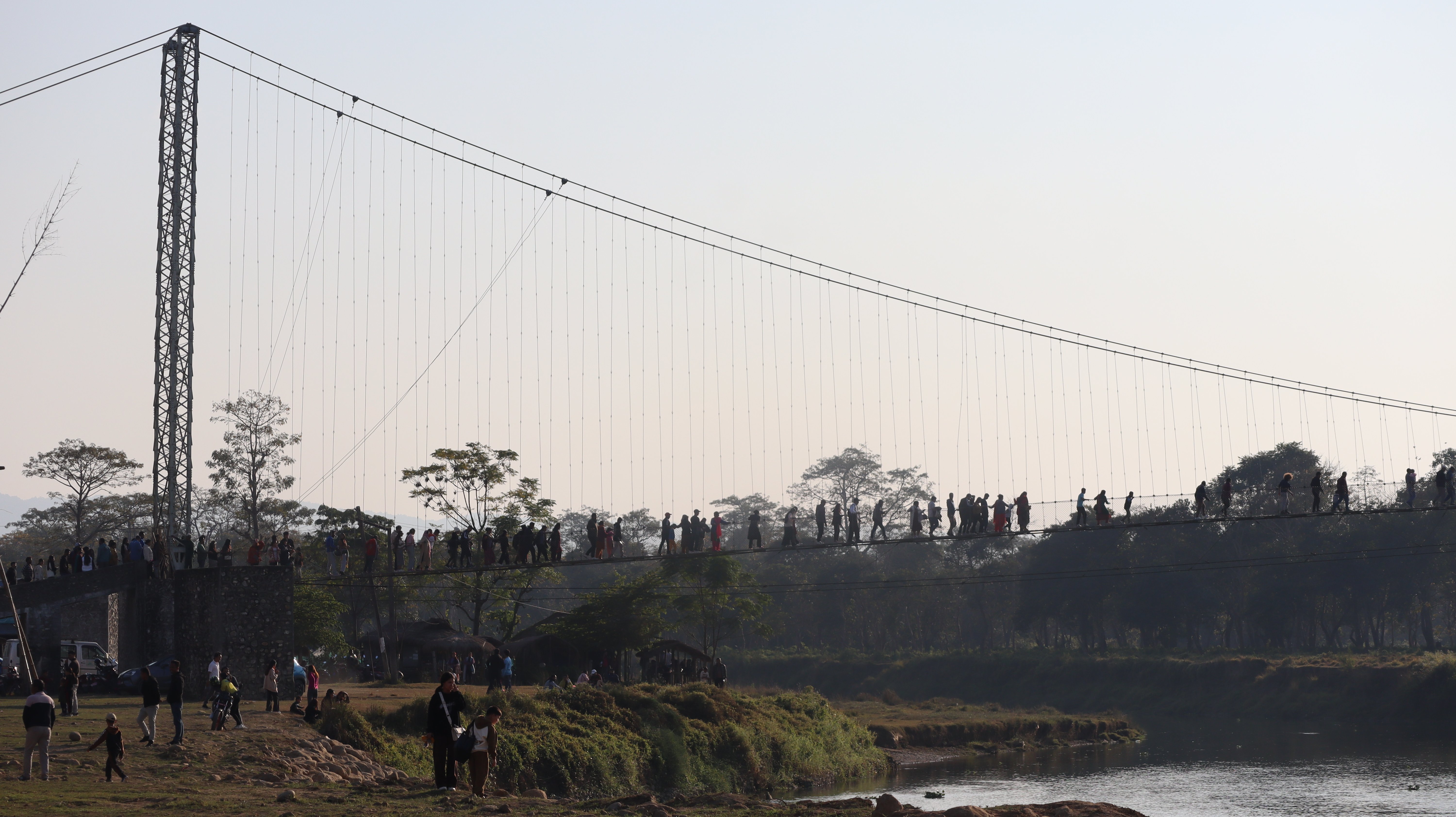 elephant chitwan (14).jpg